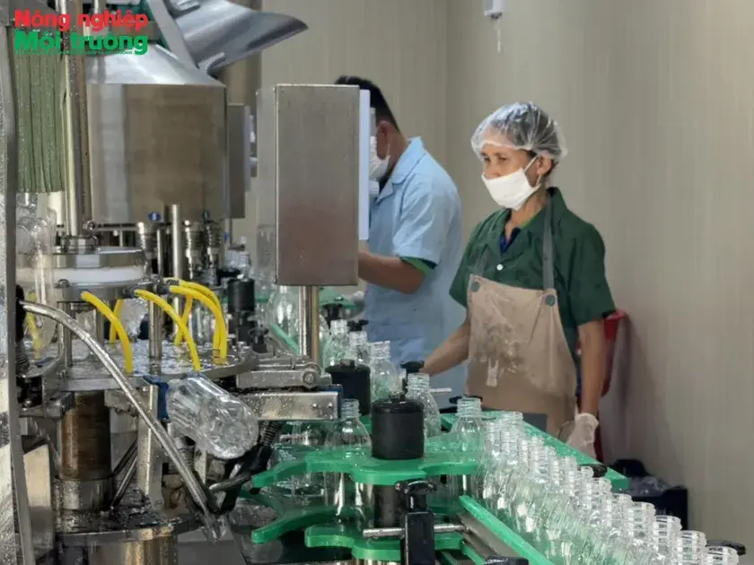 Công nghệ đang thay đổi nông nghiệp Quảng Ngãi