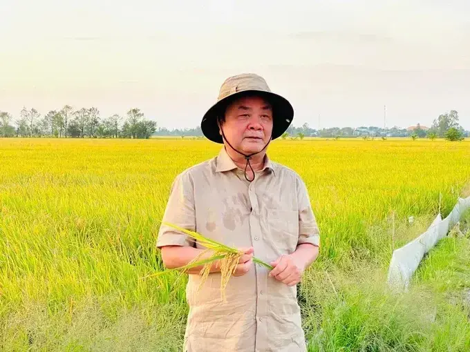 Làm lãnh đạo với một trái tim biết lắng nghe