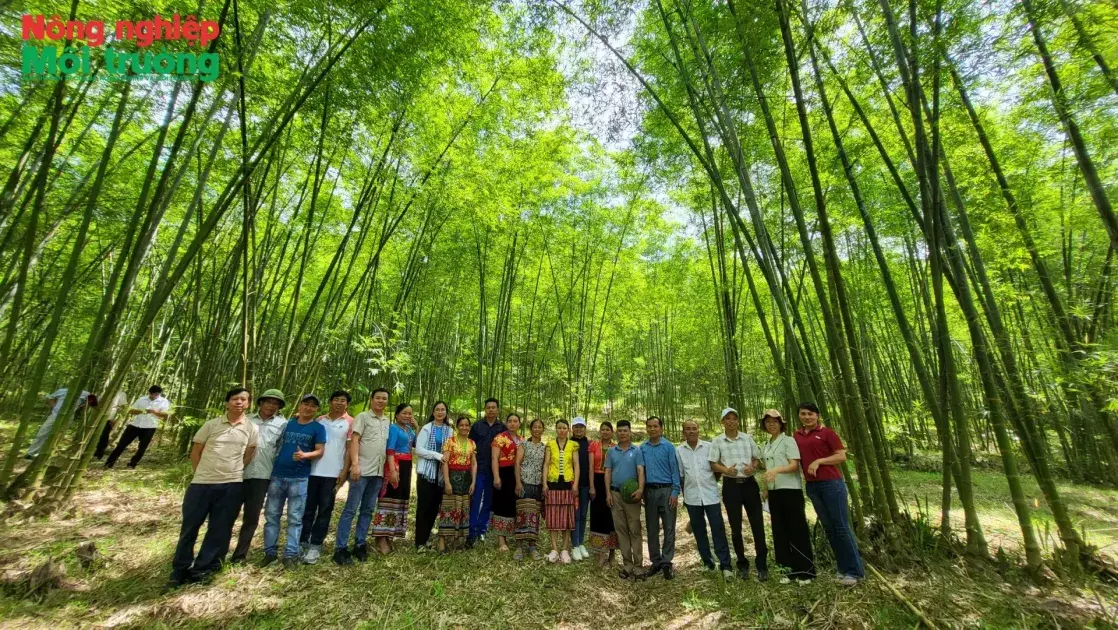 Nghệ An nâng cao chất lượng, phát huy giá trị đa dụng của rừng