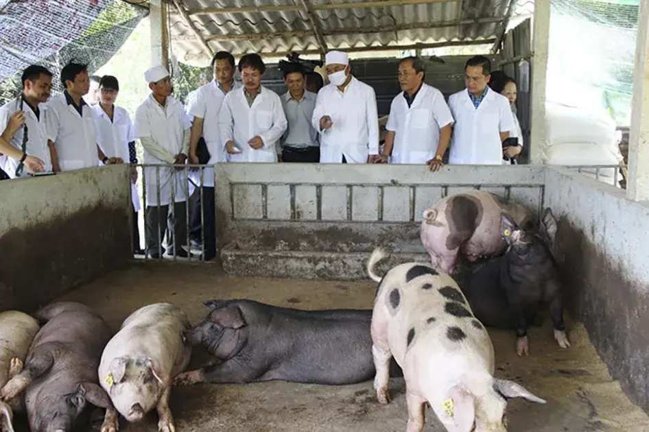 Siết chặt kiểm dịch động vật trên cạn