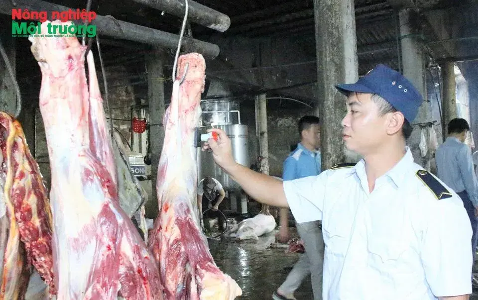 Hà Tĩnh: Siết chặt “tuyến đầu” an toàn thực phẩm tại cơ sở giết mổ tập trung