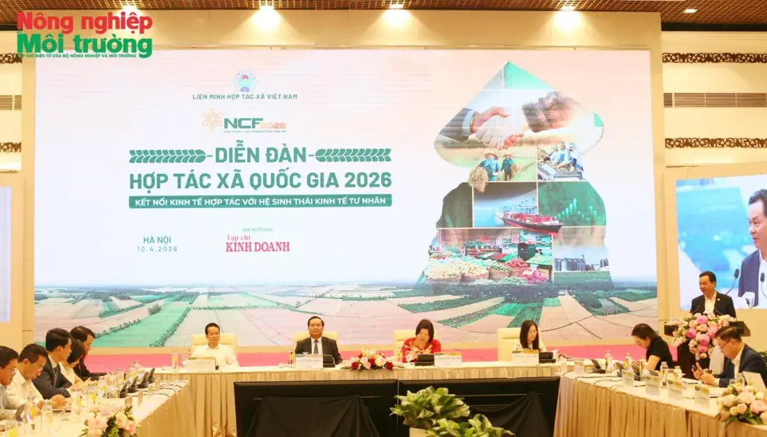 Sớm hoàn thiện thể chế phát triển kinh tế tư nhân gắn với kinh tế hợp tác