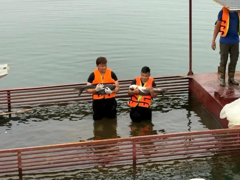 Sử dụng hiệu quả tài nguyên nước trong nuôi thủy sản hồ chứa