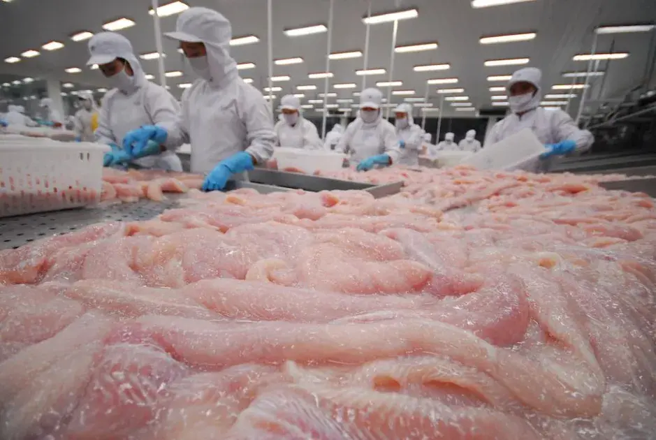 Nông lâm thuỷ sản Việt 2026: Ngưng xuất thô, kiến tạo giá trị tỷ đô bằng thương hiệu xanh