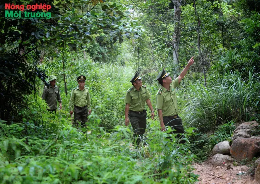 Bài 14: Từ lời Bác dạy đến những cánh rừng xanh ở Bắc Ninh