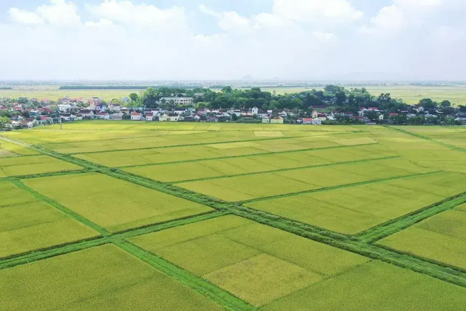 Hộ gia đình, cá nhân có nhiều thửa đất được chọn 01 thửa đất để áp dụng tính tiền sử dụng đất theo chính sách của Nghị quyết số 254/2025/QH15
