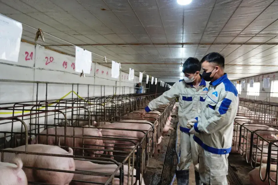 Đảm bảo nguồn thực phẩm trong dịp Tết Nguyên đán 2026: Chủ động từ sớm, kiểm soát chặt, phục vụ nhân dân