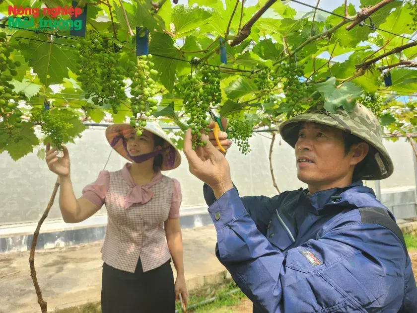 Bài 2:  Xây dựng nền nông nghiệp thuận theo tự nhiên hướng tới bảo vệ môi trường