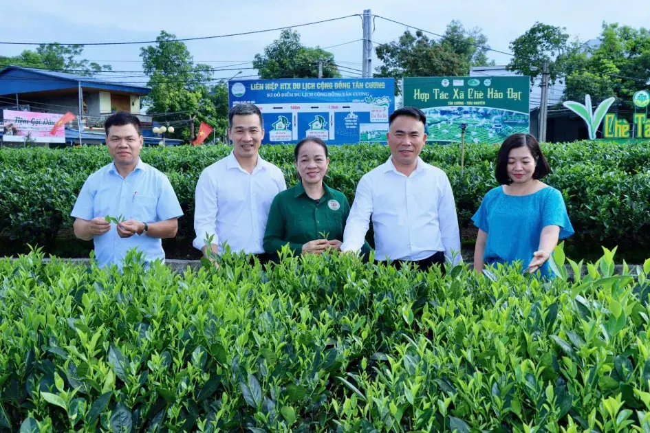 Tạp chí Nông nghiệp và Môi trường tham quan HTX Chè Hảo Đạt, tỉnh Thái Nguyên