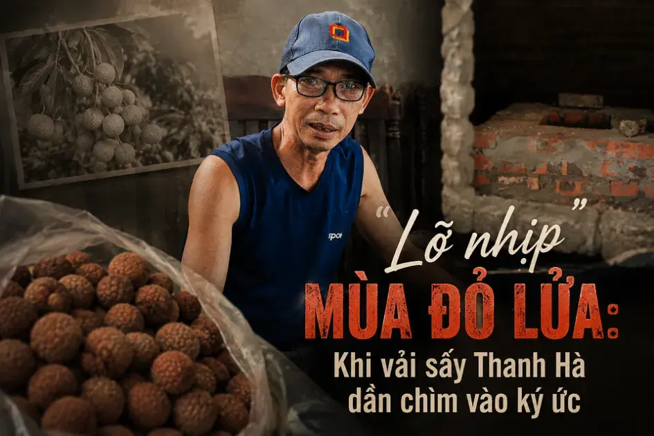 “Lỡ nhịp” mùa đỏ lửa: Khi vải sấy Thanh Hà dần chìm vào ký ức