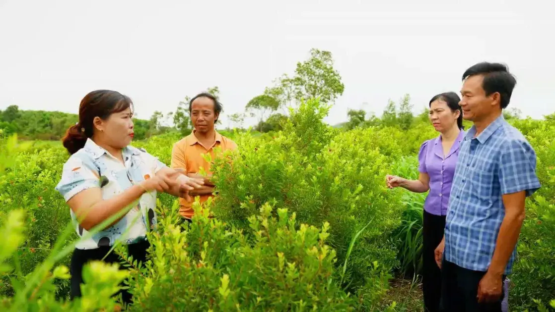 Quảng Trị thúc đẩy sáng kiến nông nghiệp thích ứng khí hậu