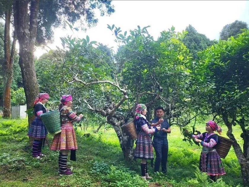Lào Cai: Bảo tồn, phát huy văn hóa bản địa từ mô hình trải nghiệm
