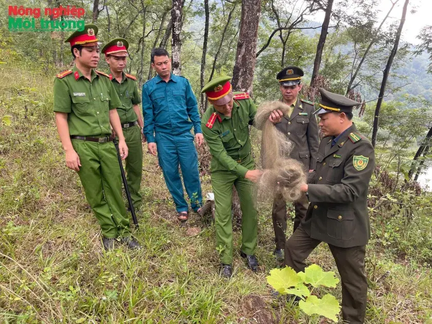 Bài 50: Giữ rừng Sông Lô từ trách nhiệm đến hành động