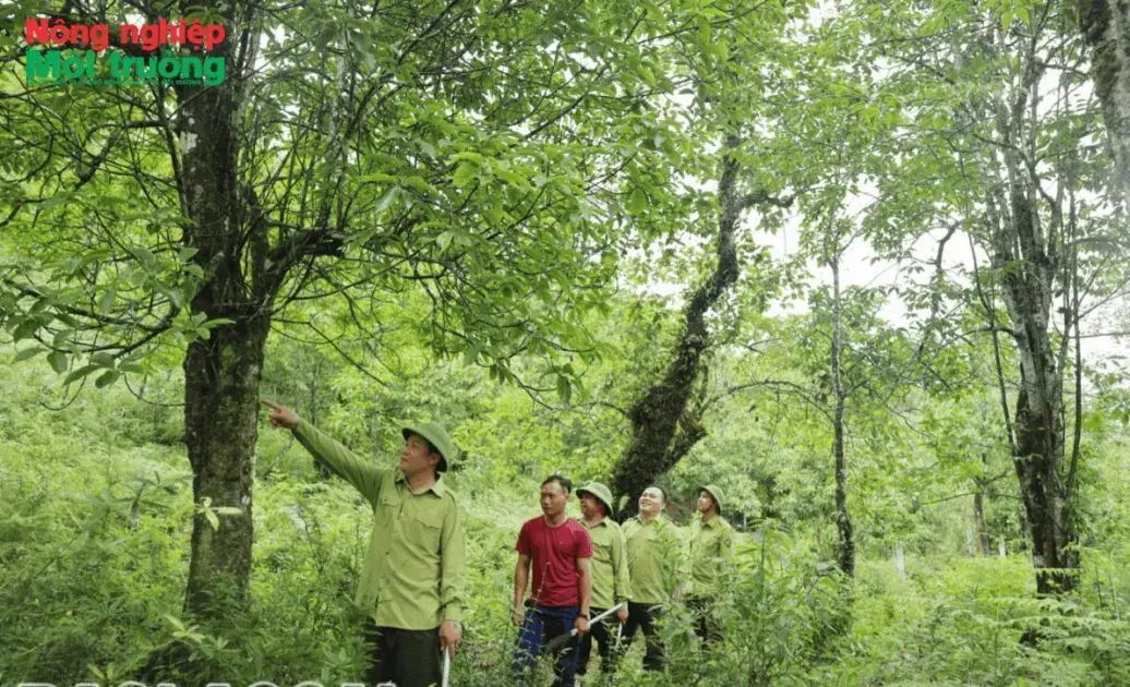 Bài 29: Lào Cai - Giữ rừng trên dải biên cương