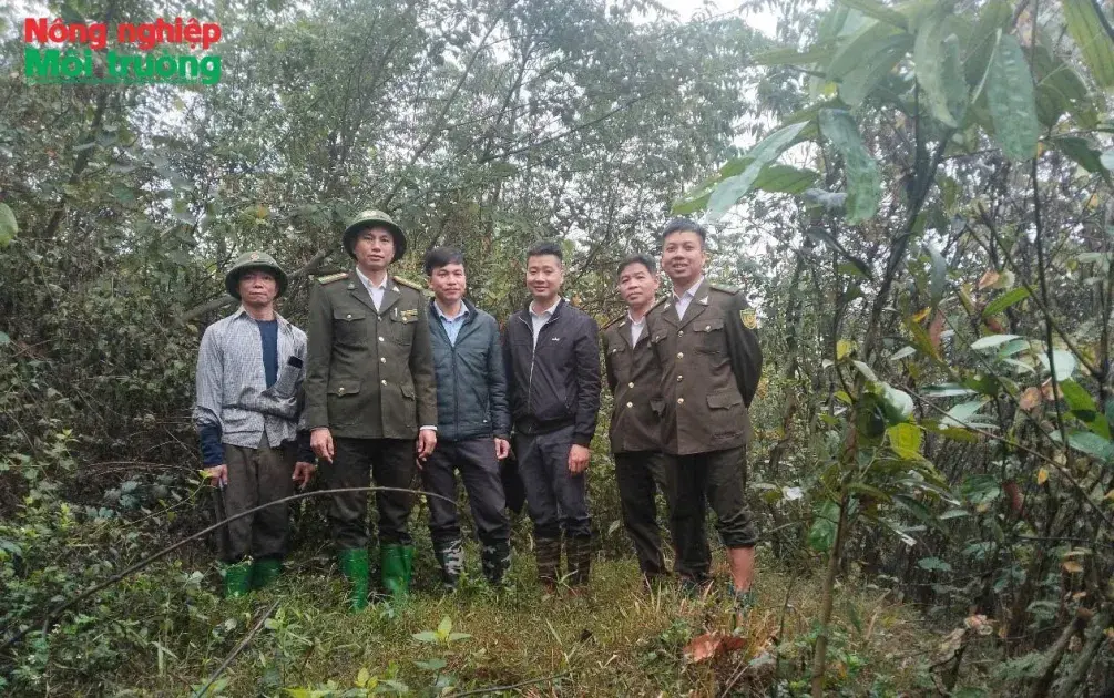 Phú Thọ: Từ những cánh rừng bình yên đến khát vọng phát triển lâm nghiệp bền vững