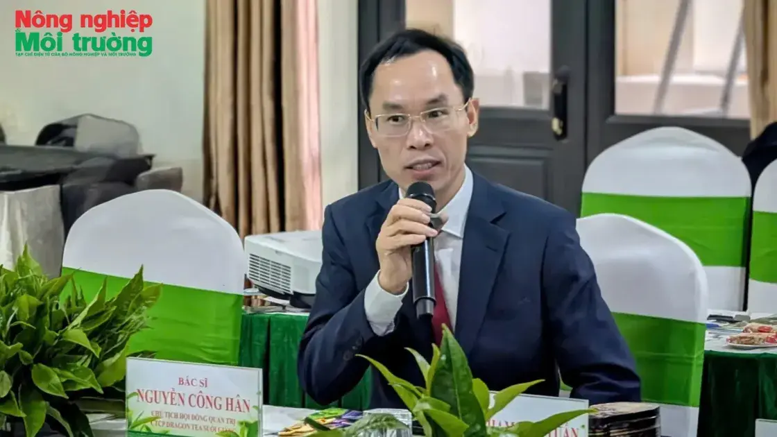 BS. Nguyễn Công Hân: Trà trong dòng chảy lịch sử và văn hóa Việt