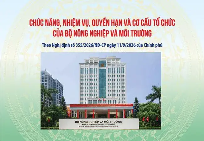 Chính phủ ban hành Nghị định số 355/2026/NĐ-CP quy định chức năng, nhiệm vụ, quyền hạn, cơ cấu tổ chức của Bộ Nông nghiệp và Môi trường