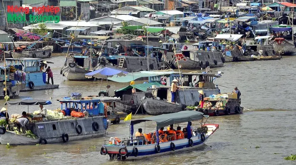 Nghị quyết 26-NQ/TW - "Bệ phóng" mới cho du lịch TP. Hồ Chí Minh và vùng phía Nam