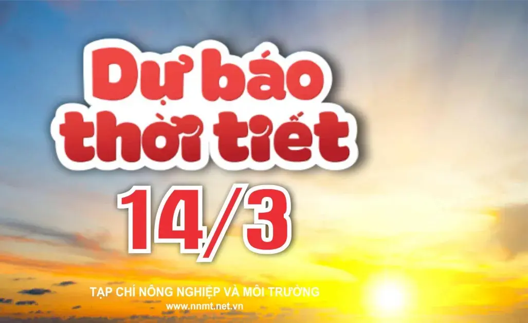 Thời tiết ngày 14/3: Miền Bắc sương mù, Trung Bộ tiếp tục mưa diện rộng