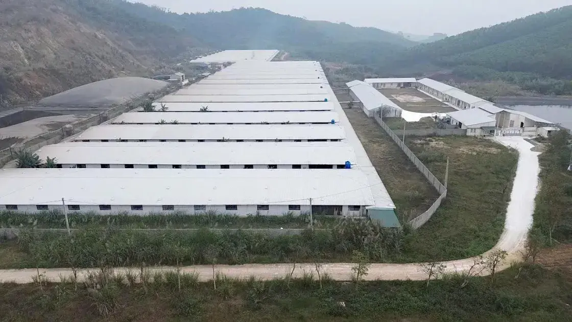 Nghệ An kiểm tra chuyên đề nhiều lĩnh vực nông nghiệp, môi trường trong năm 2026