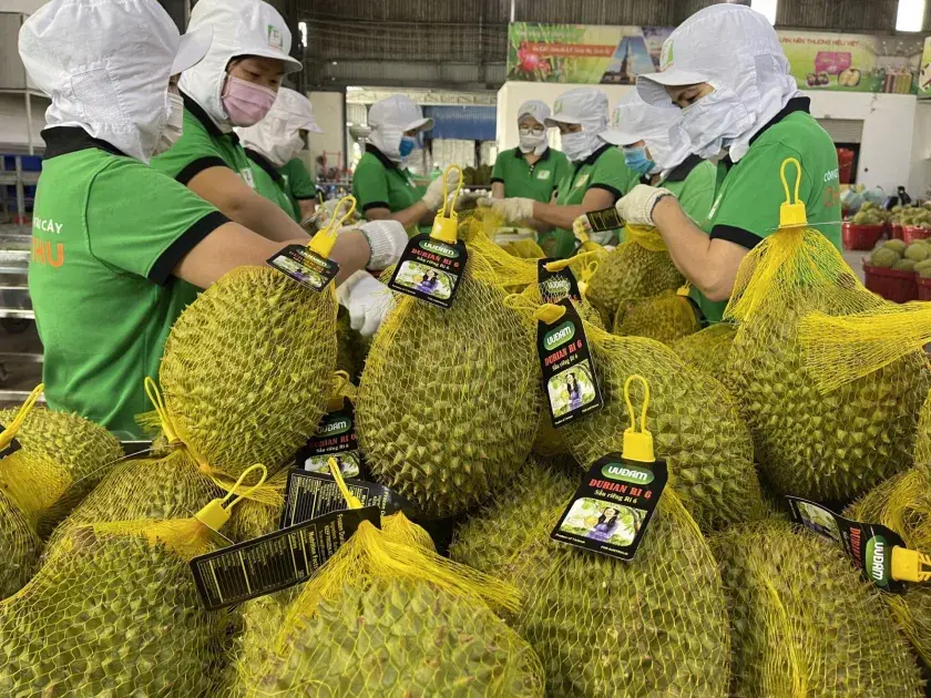 Đồng Tháp thí điểm truy xuất nguồn gốc nông sản từ năm 2026