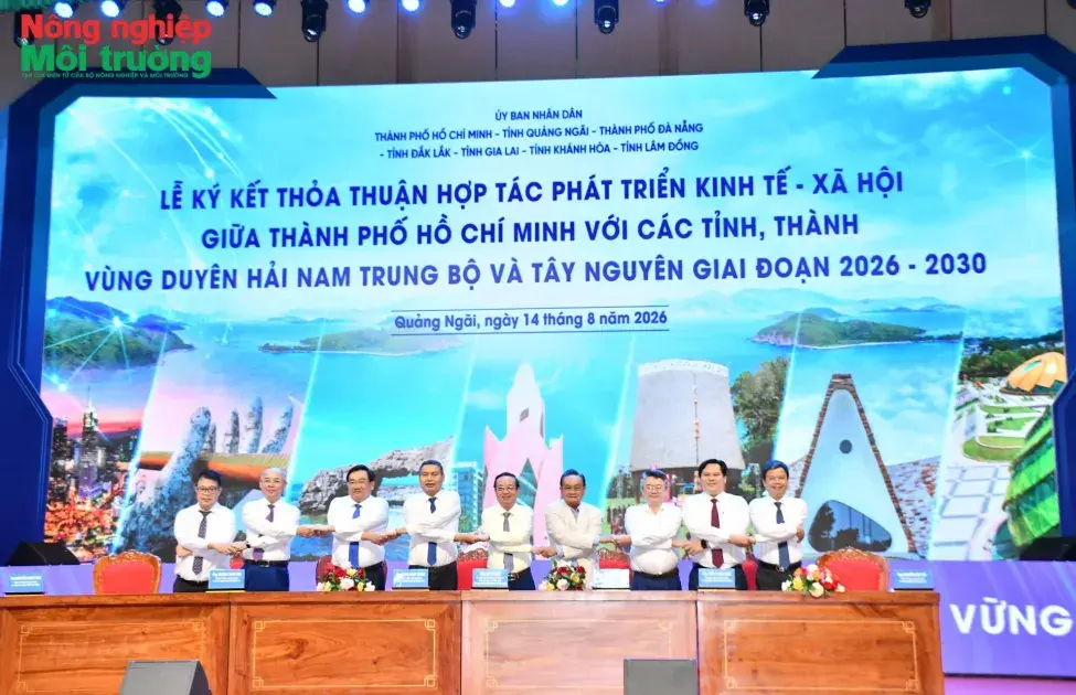 Liên kết vùng nâng cao giá trị nông sản