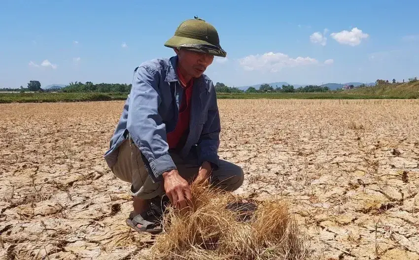 El Nino 2026: Cảnh báo thiếu hụt nguồn nước