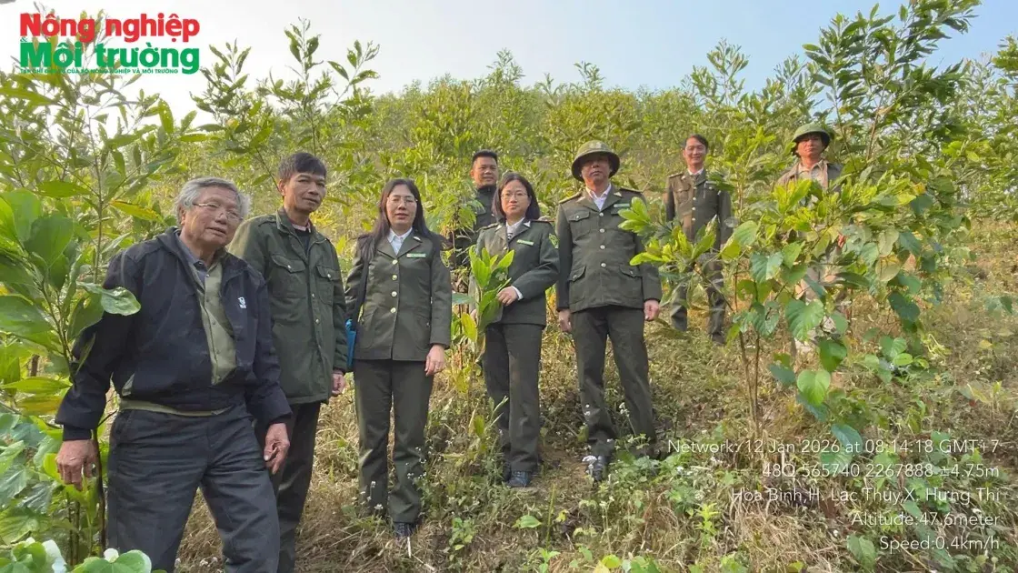 Bài 31: Phú Thọ - Giữ màu xanh trên đất Lạc Thuỷ