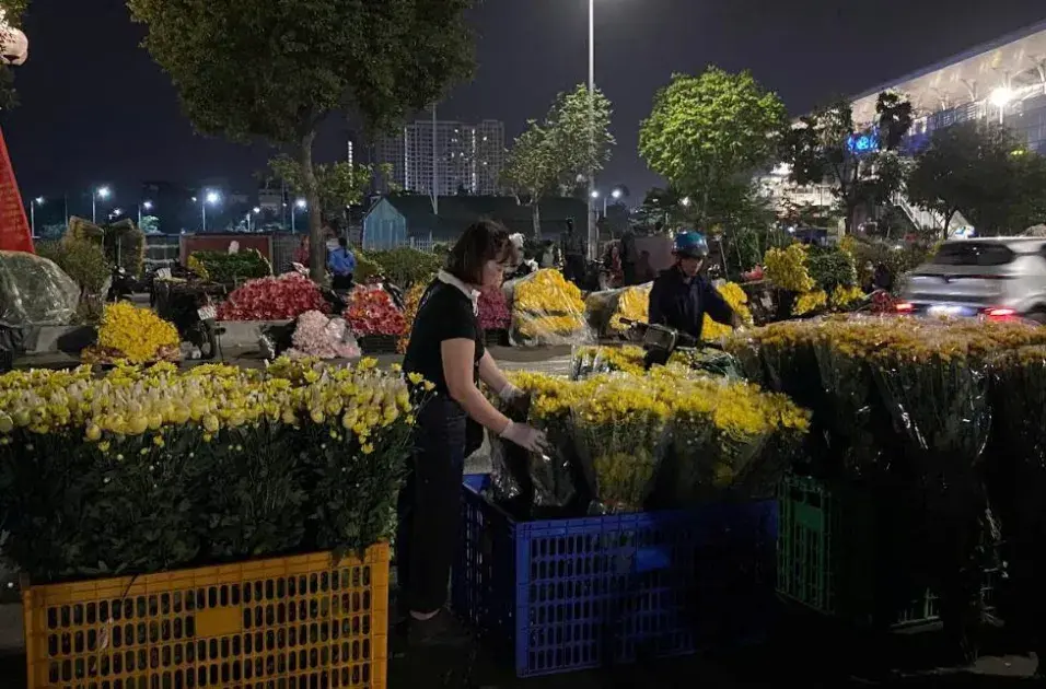 Kỳ 1: Chợ hoa đêm Nhổn và cuộc “chạy đua” thầm lặng của mỗi bó hoa