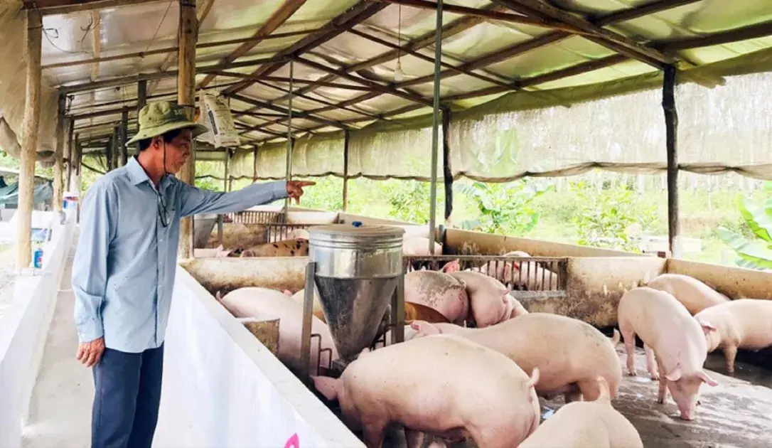 Bộ Nông nghiệp và Môi trường: Xây dựng vùng an toàn dịch bệnh để mở rộng thị trường xuất khẩu