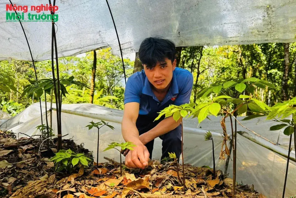 Bài 2: Sinh kế dưới tán rừng