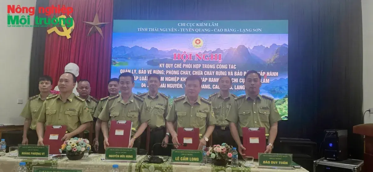 Bốn tỉnh miền núi phía Bắc ký quy chế phối hợp bảo vệ rừng vùng giáp ranh