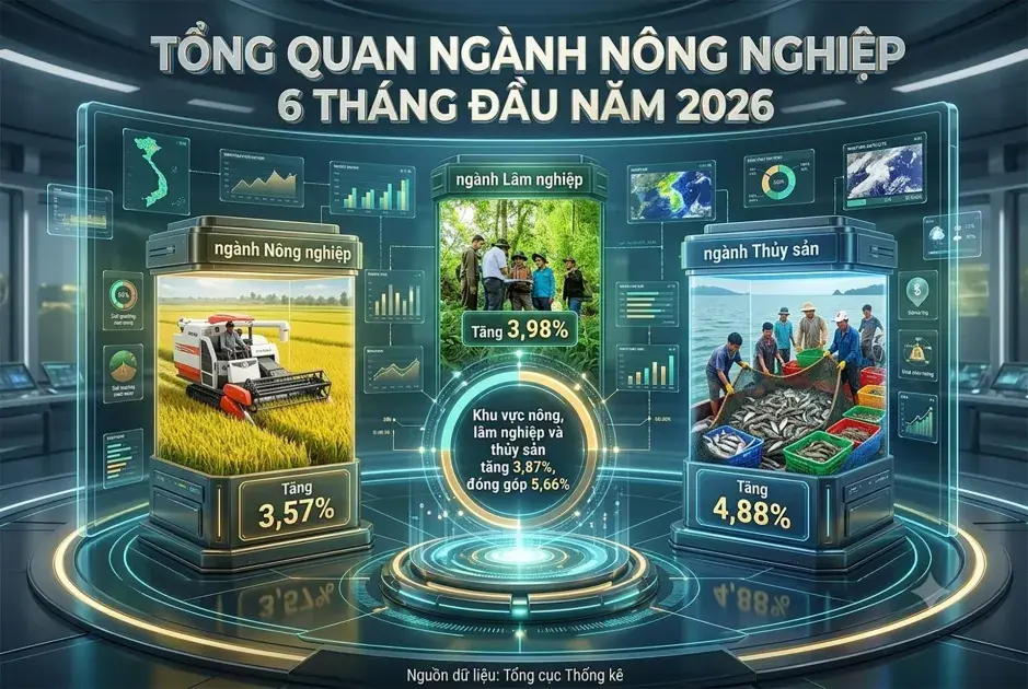 Sáu tháng đầu năm 2026, giá trị tăng thêm ngành Nông nghiệp tăng 3,87% so với cùng kỳ