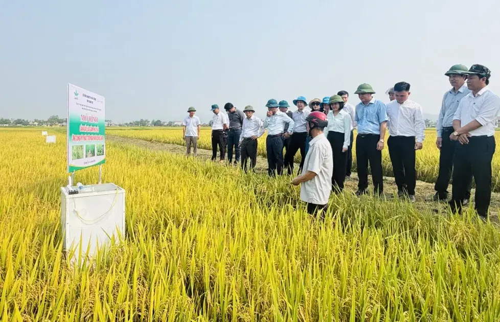 Mở khóa thị trường các-bon Việt Nam