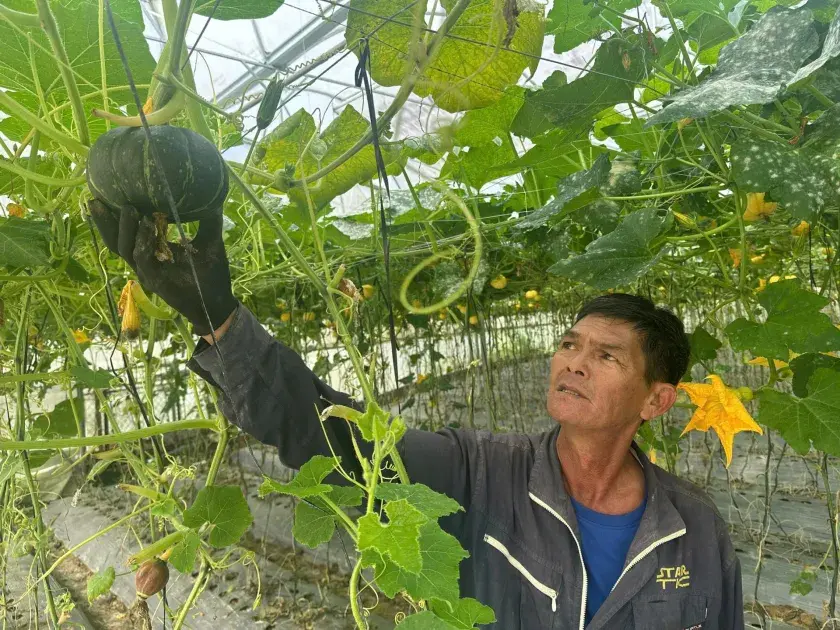 Lâm Đồng: Đẩy mạnh phát triển nông nghiệp hữu cơ