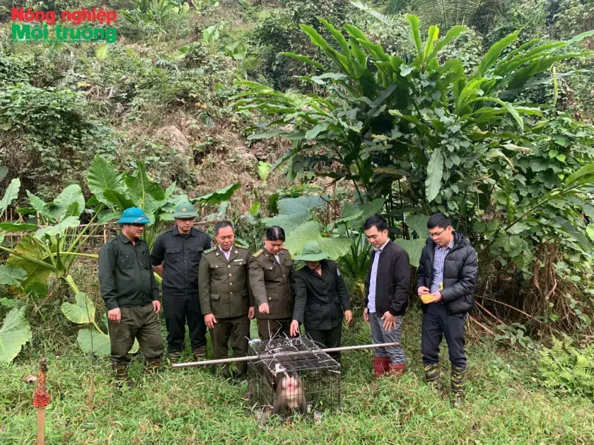 Bài 36: Thái Nguyên – Bảo vệ màu xanh những cánh rừng ở trung tâm công nghiệp