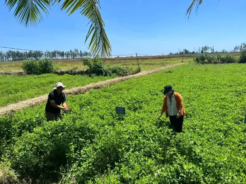 Tận dụng phụ phẩm trong nông nghiệp, thúc đẩy kinh tế tuần hoàn vùng nhiễm mặn ven biển