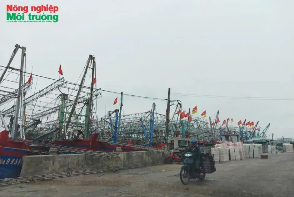 Nghệ An ban hành Quy chế phối hợp quản lý dữ liệu giám sát hành trình tàu cá