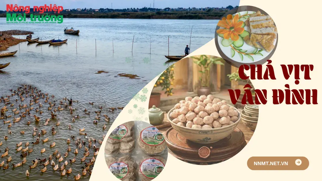 Giải bài toán tiêu thụ gia cầm, nâng tầm giá trị nông sản