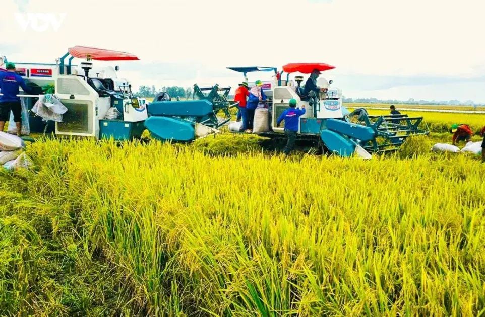 Công nghệ - khởi nguồn năng suất cao cho nông nghiệp Đồng Tháp