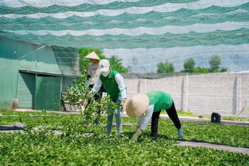 Đẩy mạnh nhiệm vụ khoa học và công nghệ vùng Trung du miền núi phía Bắc: Động lực cho phát triển nhanh và bền vững