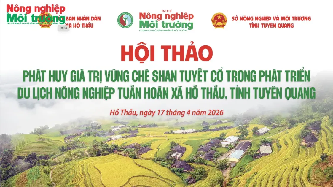 Hội thảo “Phát huy giá trị vùng Chè Shan Tuyết cổ trong phát triển Du lịch  nông nghiệp tuần hoàn ở xã Hồ Thầu”