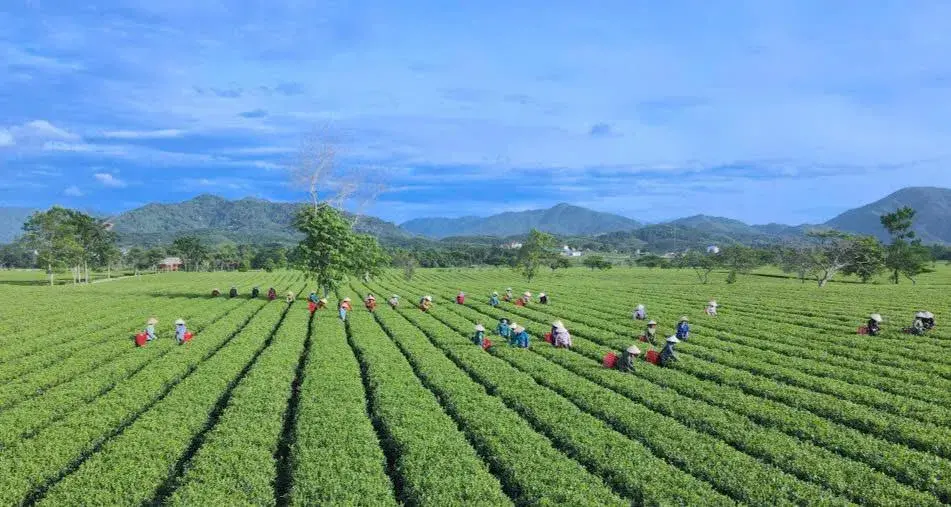 Hà Tĩnh phát động cuộc thi ảnh và video quảng bá du lịch năm 2026