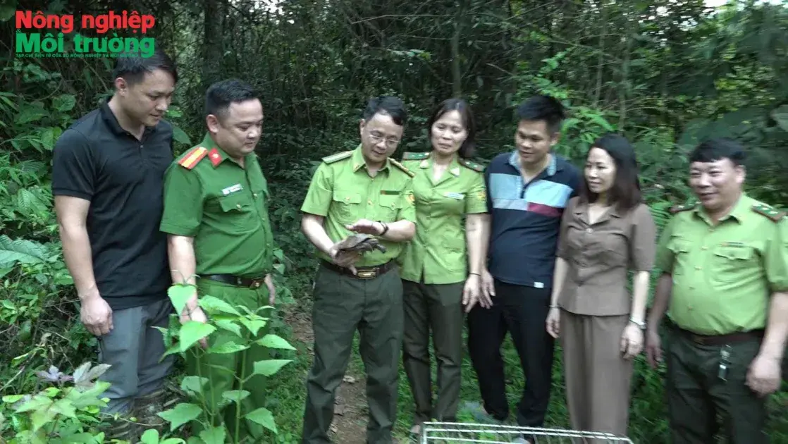 Bài 3: Giữ màu xanh từ lời dạy của Bác - Chuyện ở Hạt Kiểm lâm Cao Phong