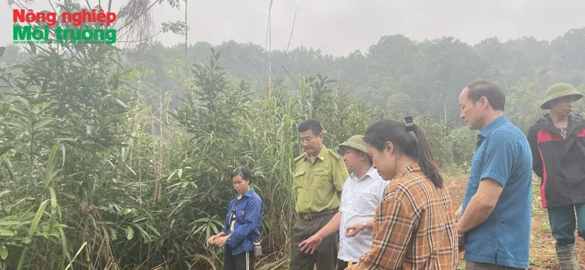 Bài 46: Kiểm lâm Tràng Định giữ màu xanh nơi phên giậu biên cương