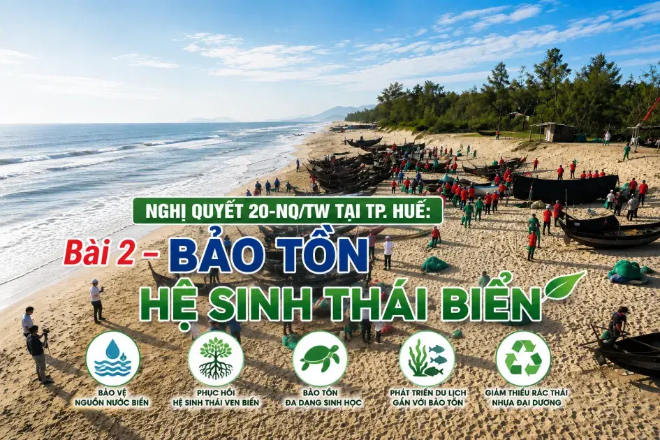 Bài 2: Giảm nhựa, bảo tồn hệ sinh thái biển