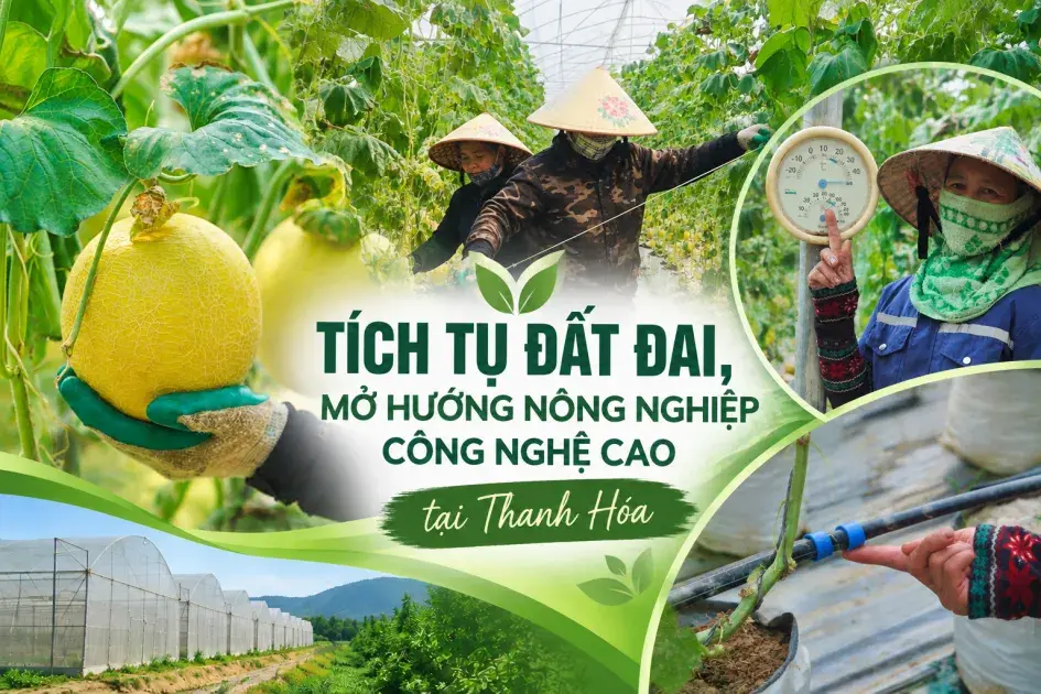 Tích tụ đất đai, mở hướng nông nghiệp công nghệ cao