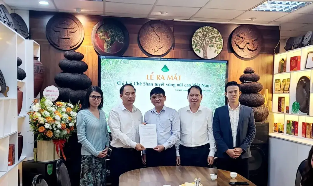 tìm hướng nâng giá trị từ liên kết và chuẩn hóa