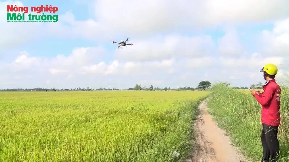 Khi người nông dân sử dụng máy bay không người lái vào sản xuất nông nghiệp