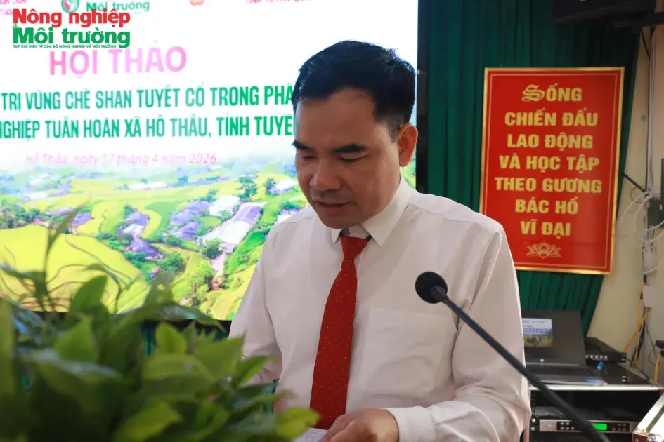 Chủ tịch UBND xã Hồ Thầu: Định vị trà Shan Tuyết thành trụ cột kinh tế di sản